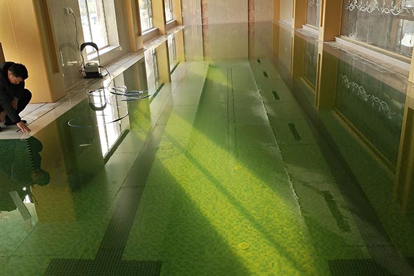 游泳池設(shè)備-魯花集團辦公樓泳池 游泳池設(shè)備-魯花集團辦公樓泳池