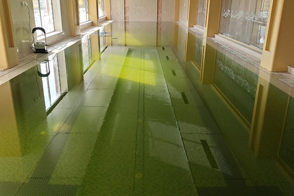 游泳池設(shè)備-魯花集團辦公樓泳池 游泳池設(shè)備-魯花集團辦公樓泳池